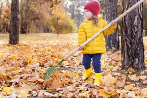6 Fall Clean Up Essentials