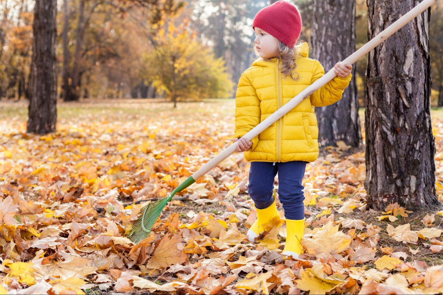 6 Fall Clean Up Essentials