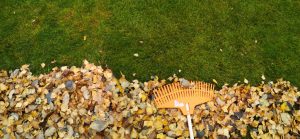 Raking leaves - Five Tips You Can Use Today To Help Winterize Your Lawn
