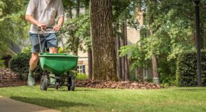 Man fertilizing Lawn - Five Tips You Can Use Today To Help Winterize Your Lawn featured