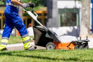 Professional Lawnmowing How Landscaping Can Improve The Value of Your Home